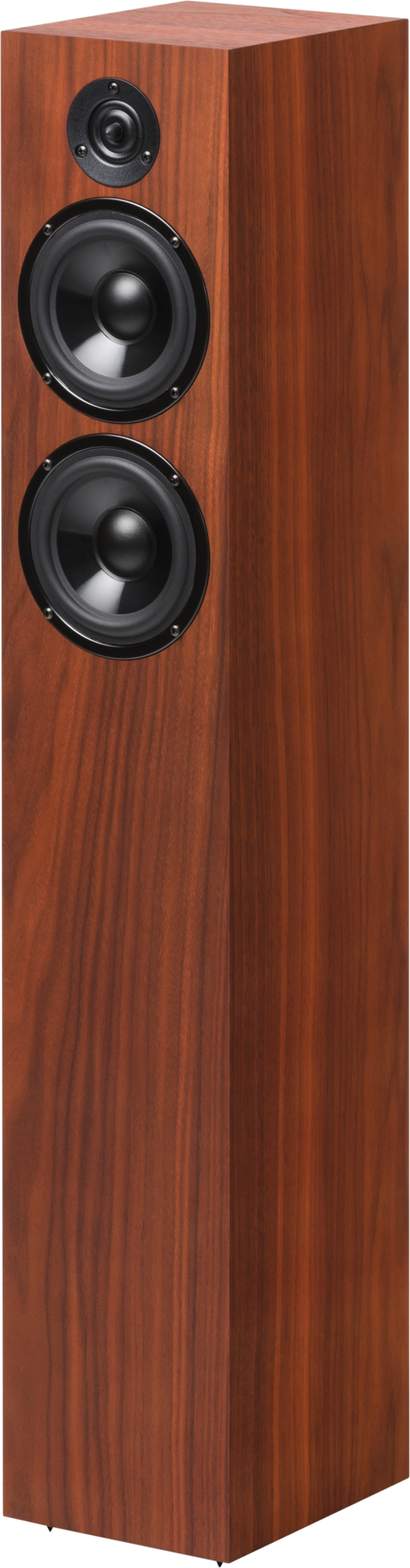 Kõlarid Pro-Ject Speaker Box 10 DS2